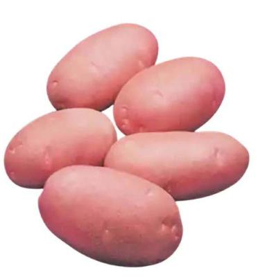 Potato Red 1Kg
